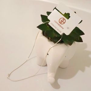 Sterling Silver Giani Bernini 16" Chain